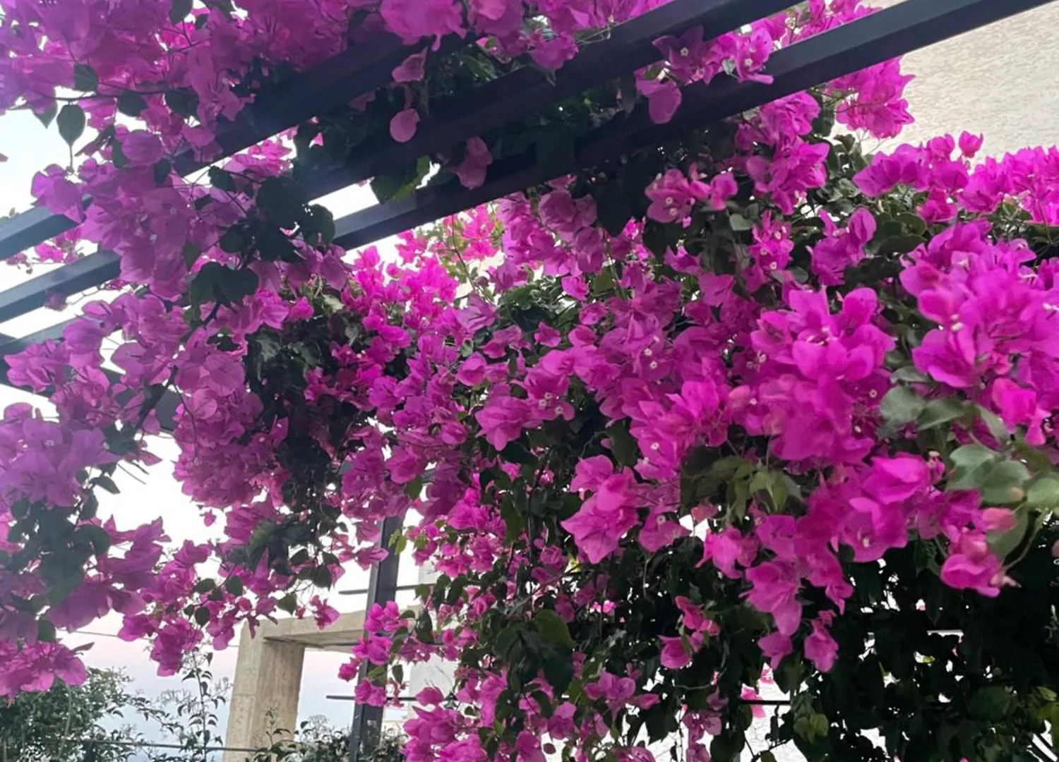 Havuzlu Ve Jakuzili Full Esyali Lueks Villa Bodrum