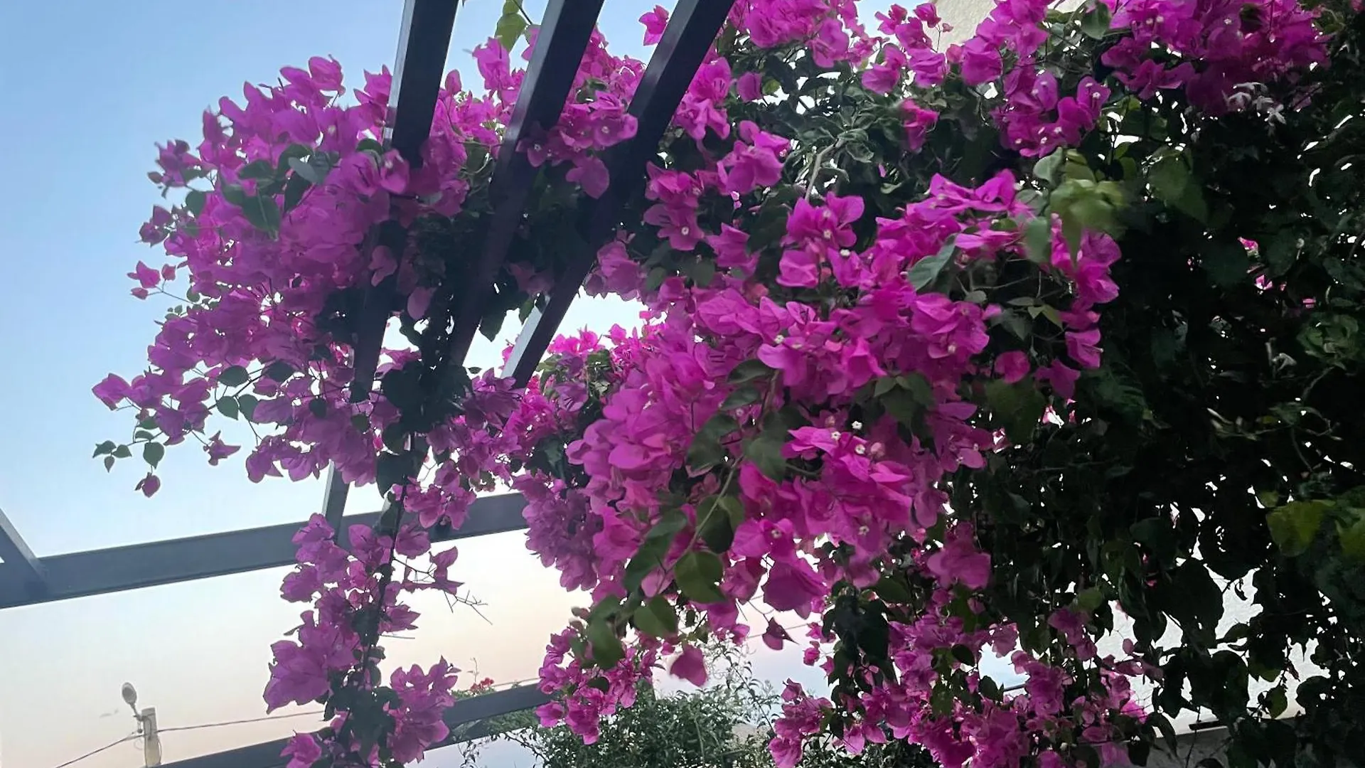 Havuzlu Ve Jakuzili Full Esyali Lueks Villa Bodrum Turkey